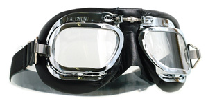 goggles.jpg (17456 bytes)